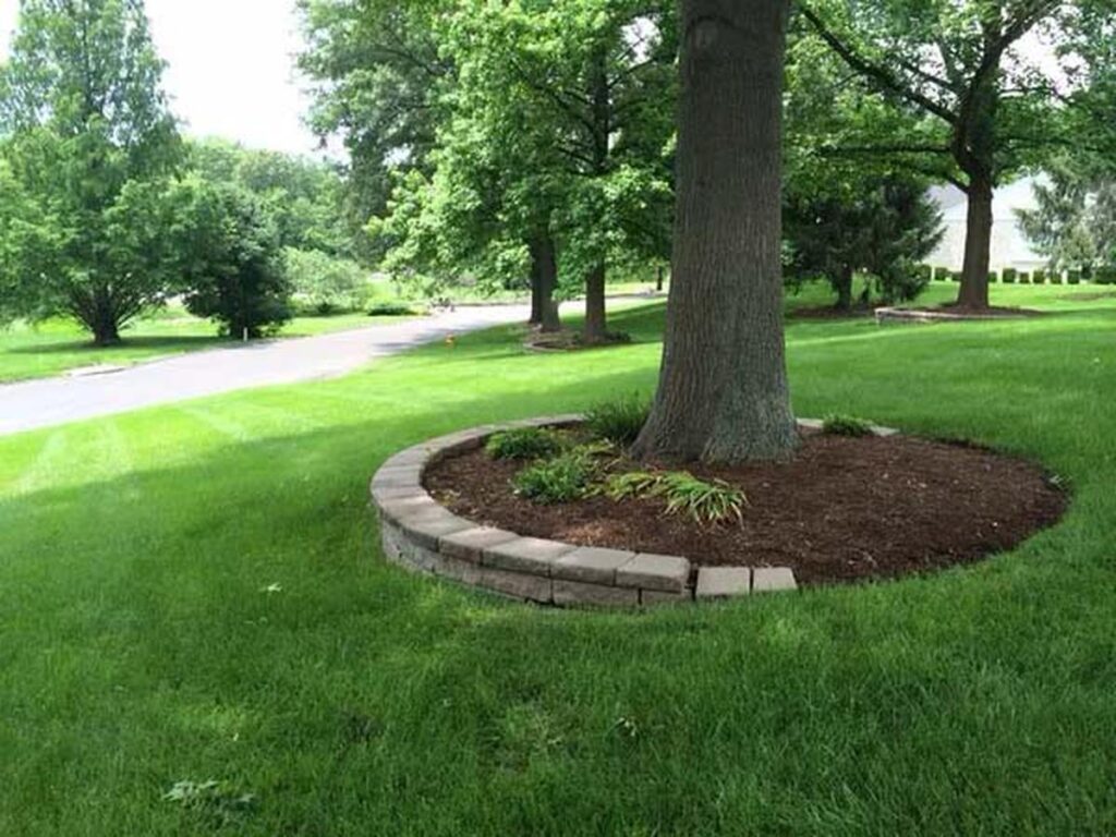 18 Best Tree Edging Ideas for a Lovely Garden