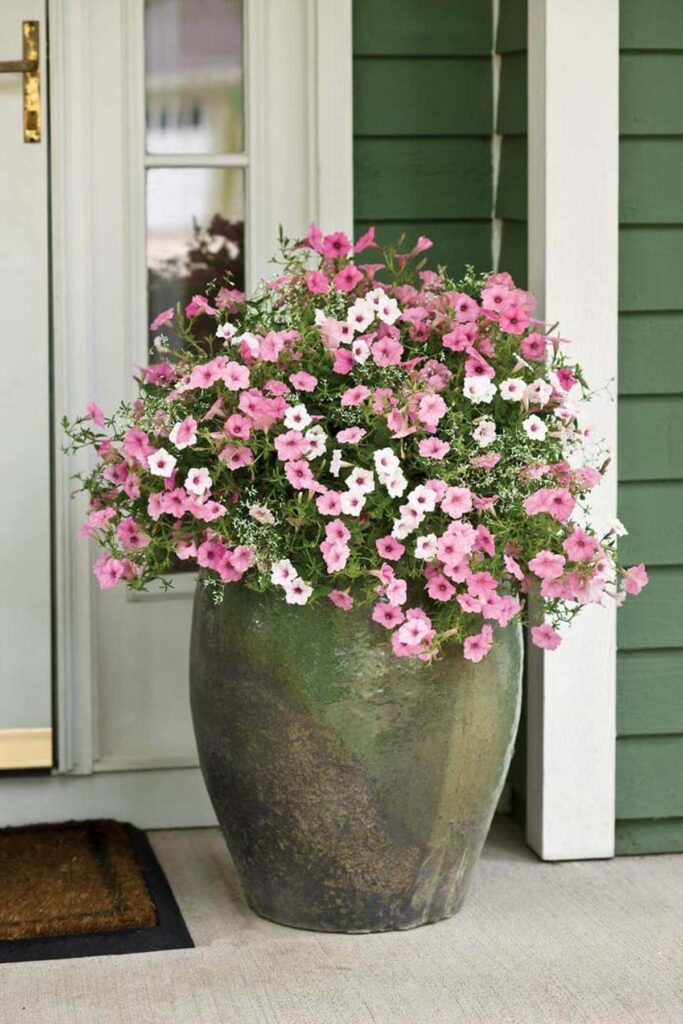 Parfum Femme Burberry BUR9001 EDP 100 ml main image 0