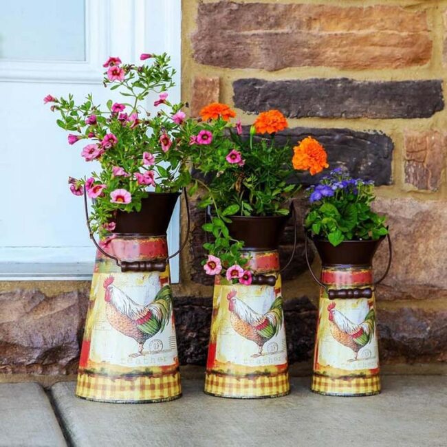 Pitcher Planter Display