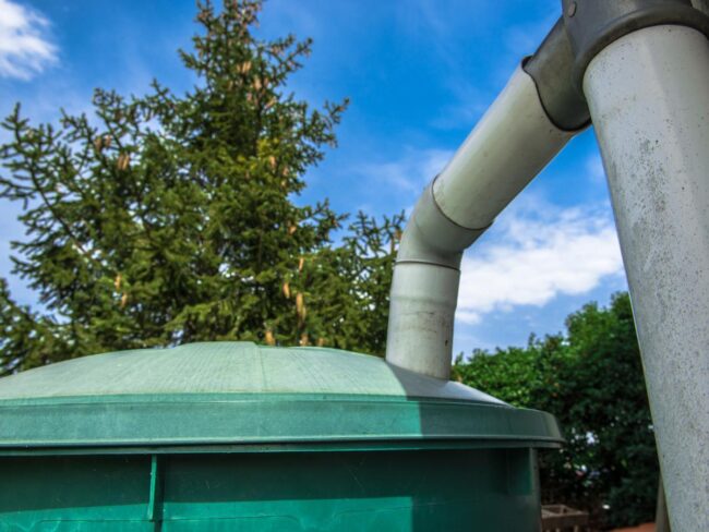 Recycle Your Rainwater