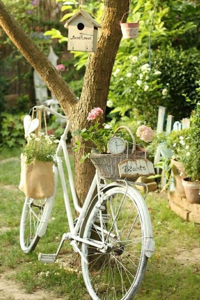 Bicycle Plant Holder