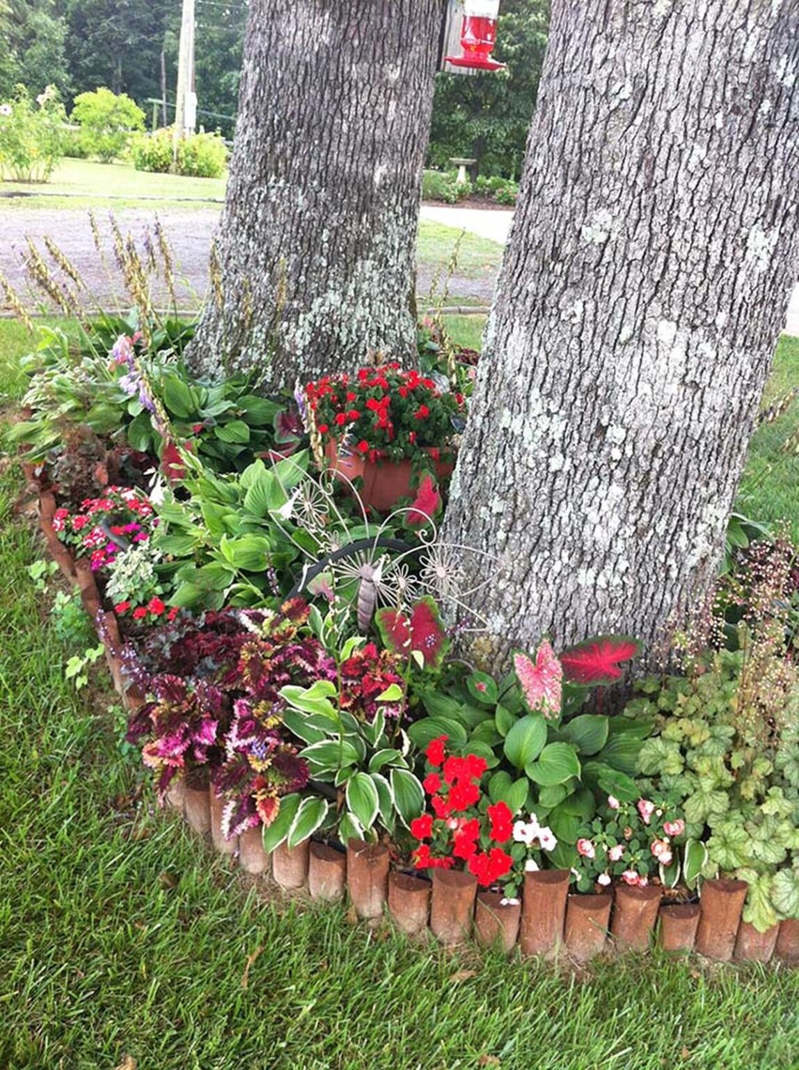 18 Best Tree Edging Ideas for a Lovely Garden