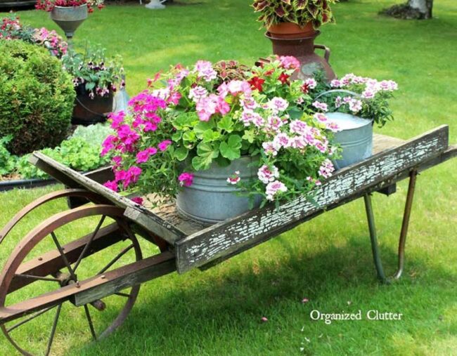 Wheelbarrow Garden Setup