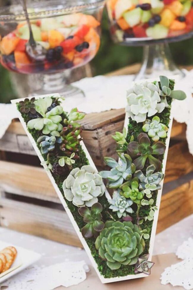 Succulent Romantic Planter