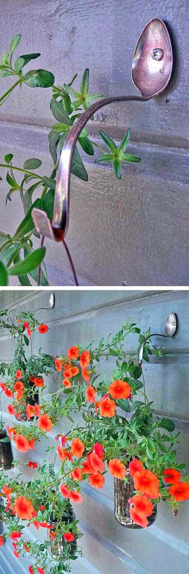 Spoon Vertical Garden