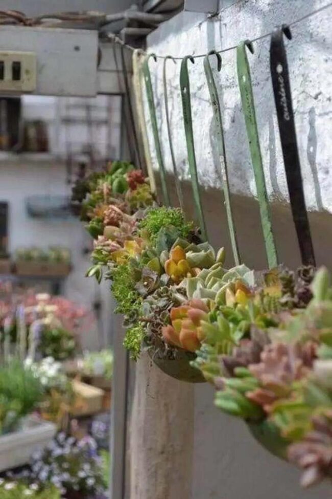 Ladle Planter Display