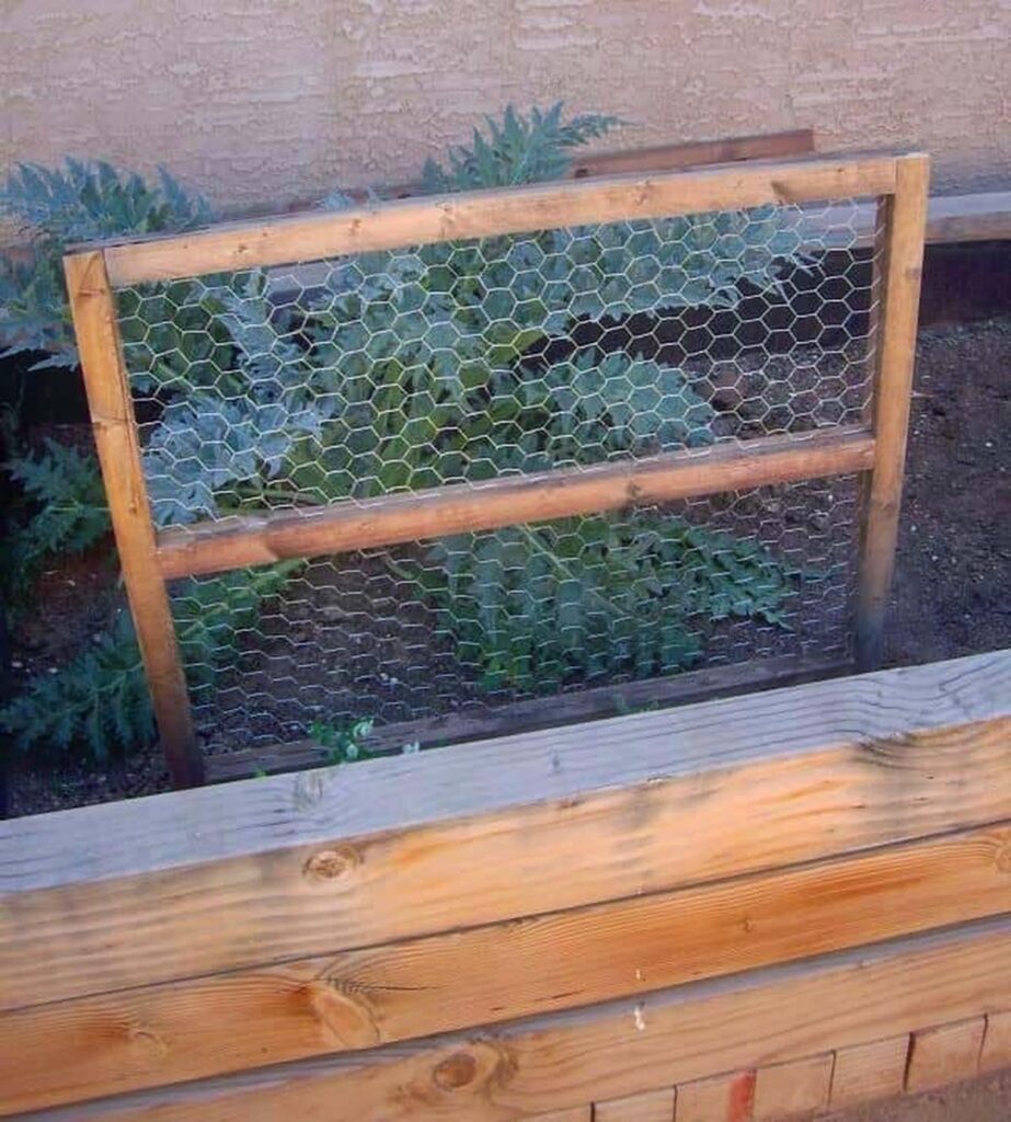 28 Easy DIY Pea Trellises for Better Harvests