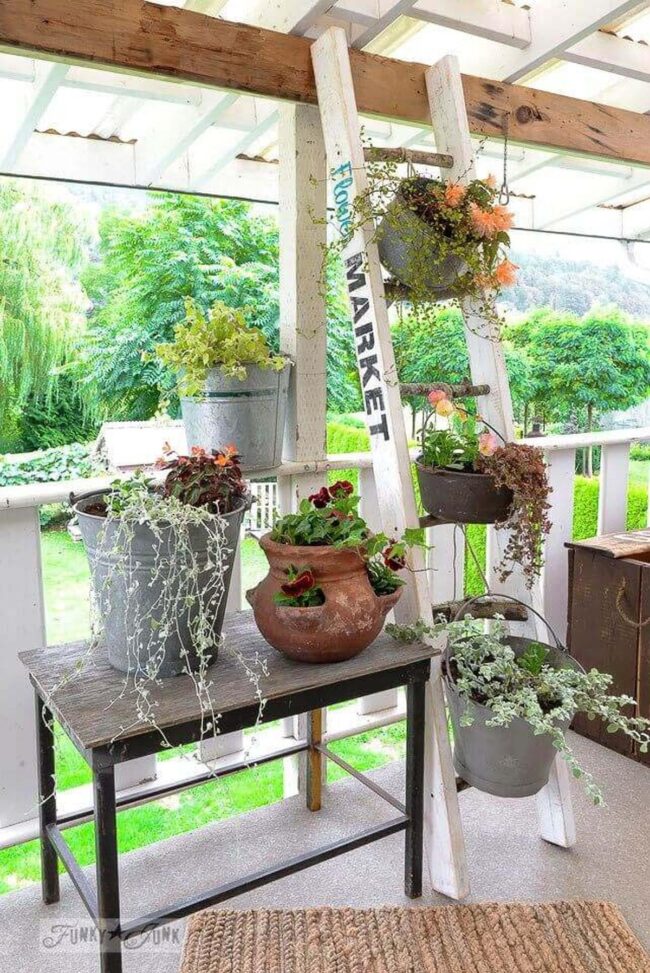 Potted Plants at Different Heights