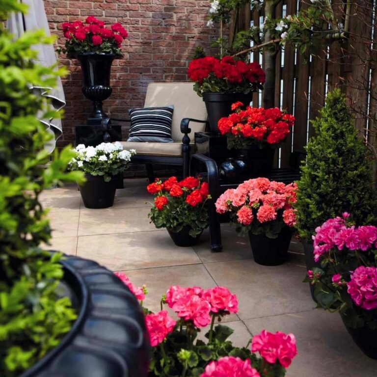 34 Inspiring Geranium Landscapes for a Flowering Garden