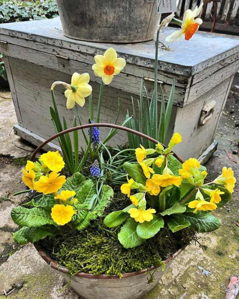 24 Beautiful Spring Planter Ideas for Garden Charm