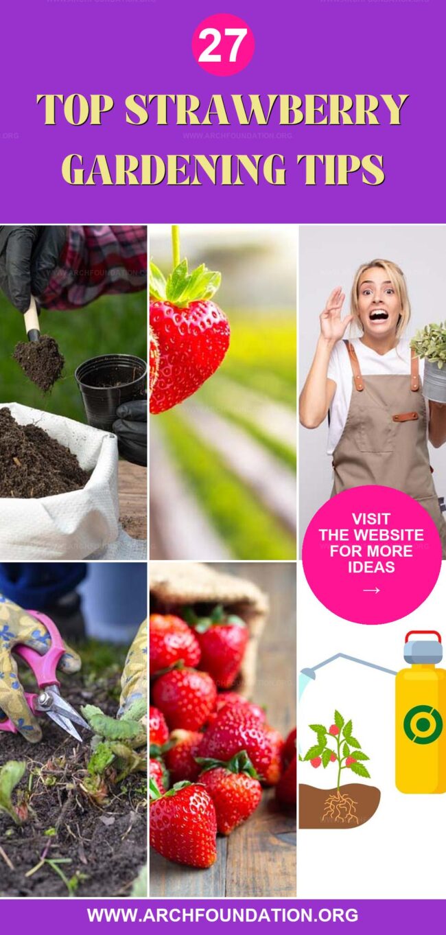 27 Essential Tips for Growing Strawberries Successfully