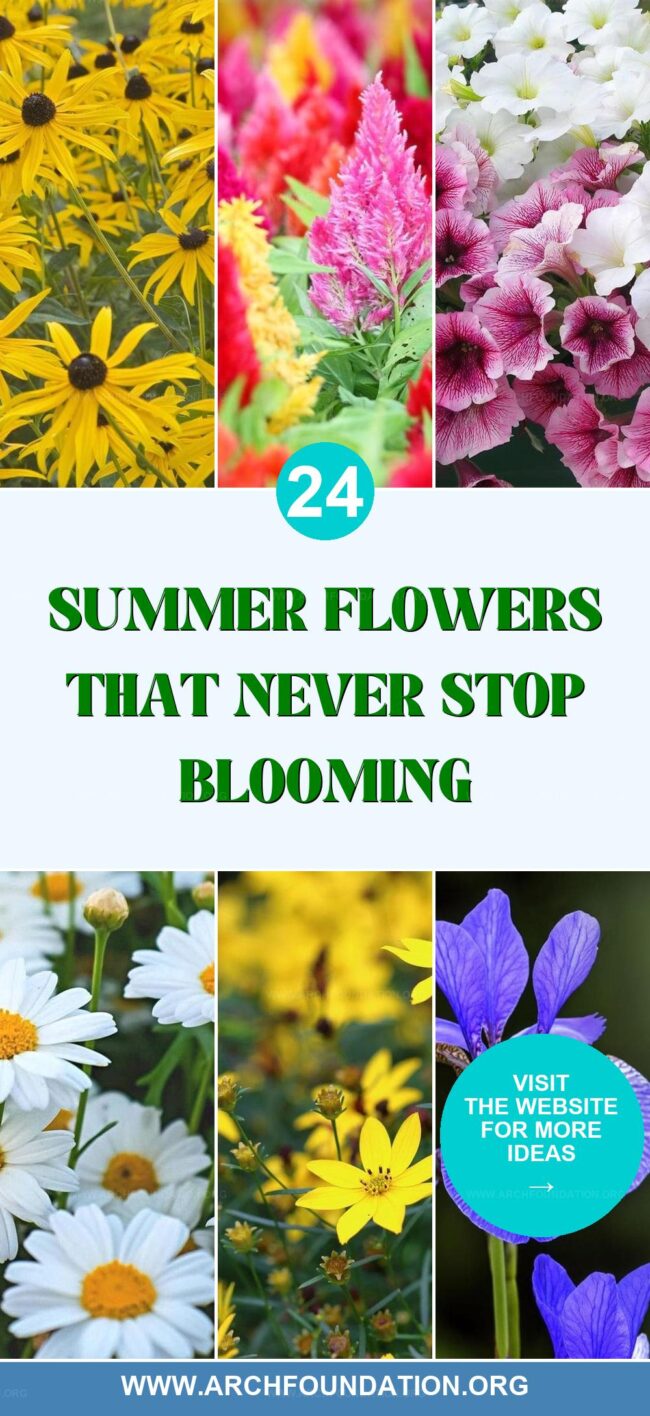 24 Summer Flowers That Keep Blooming All Season
