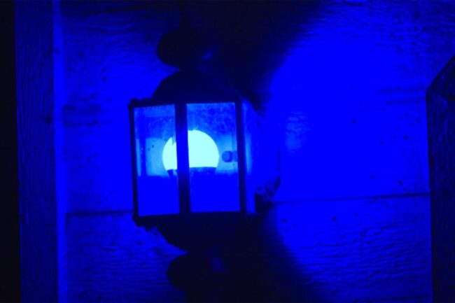 Blue Porch Light Image 3