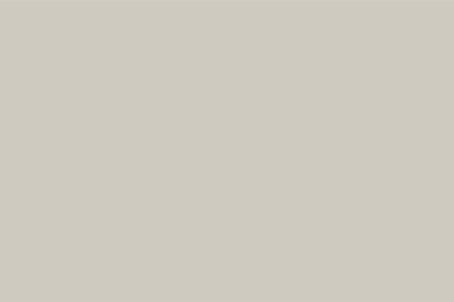 Repose Gray