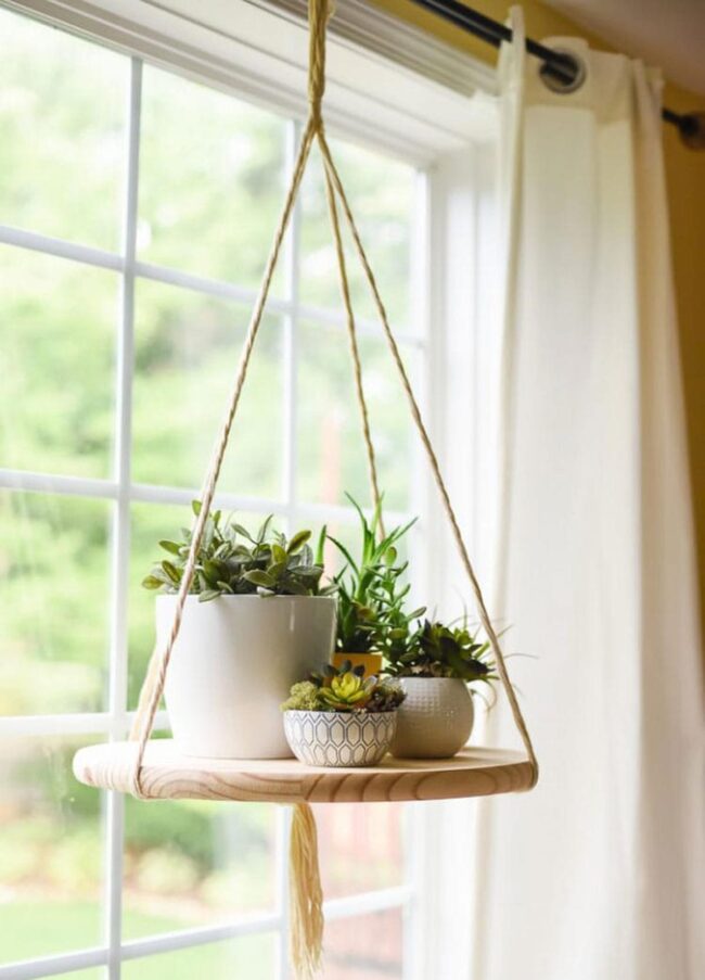 Dress Up Your Window with a Hanging Plant Display