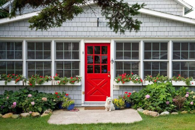 Red Image 1