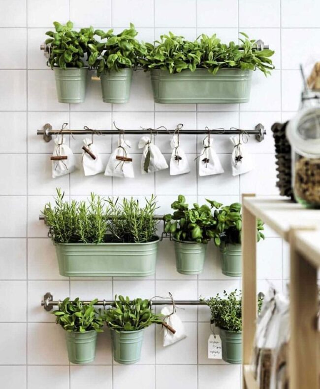 Collect Compliments with A Hanging Herb Garden