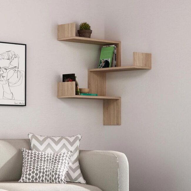 Unconventional Climbing Shelf