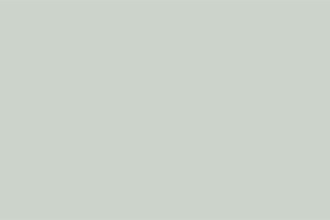 Sea Salt Green