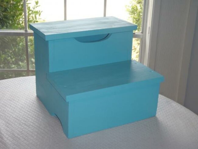 Blue Wooden Step Companion