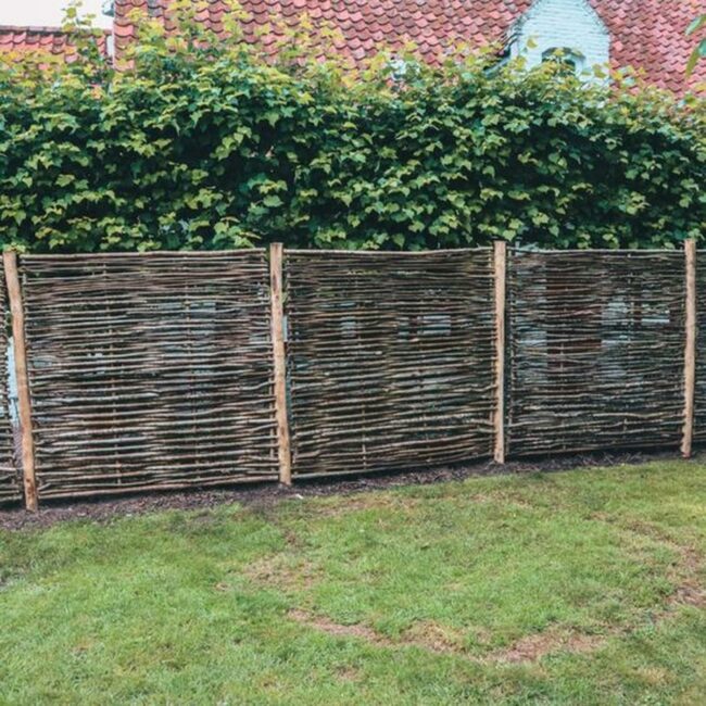 Woven Branches Natural Boundary