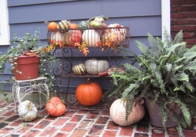 Colorful Corner Pumpkins