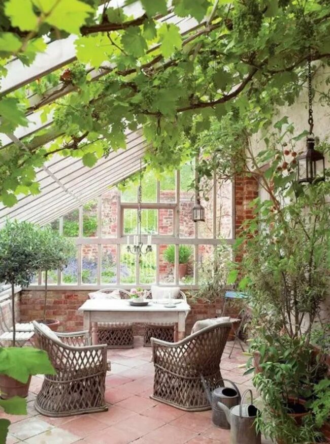 Green Oasis Indoor Sanctuary