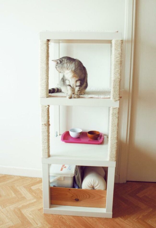 White Wood Cat Paradise