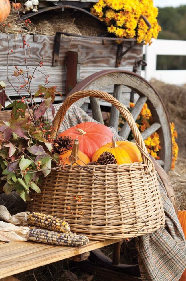 Autumn's Golden Harvest Symphony