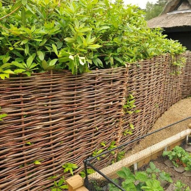 Woven Branch Fence Embraces Wild Garden