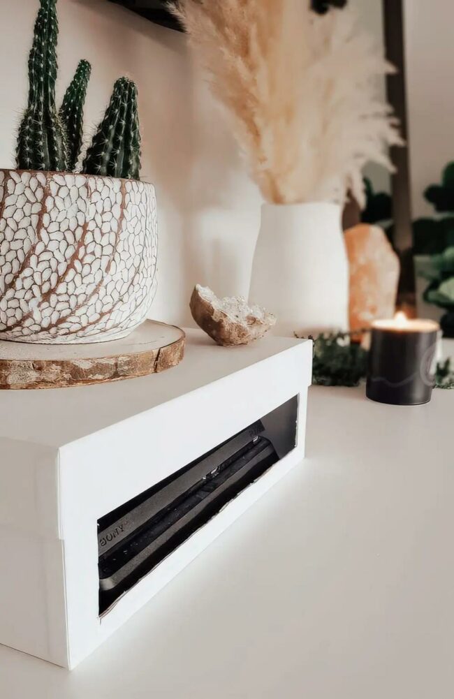 White Cactus Sanctuary