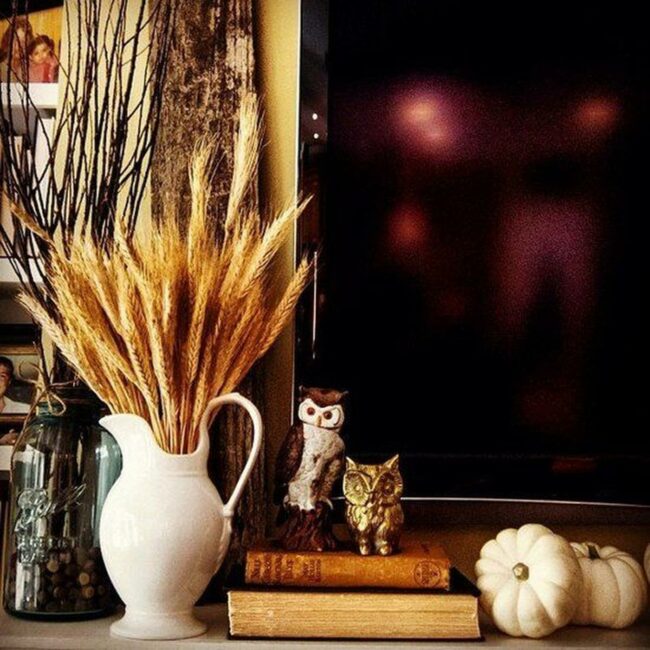 Vintage Owl Corner