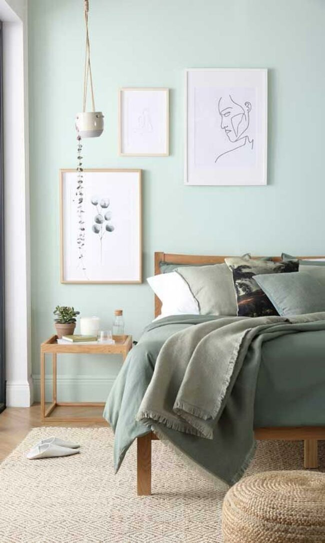 Soft Sage Sanctuary Whispers Tranquility