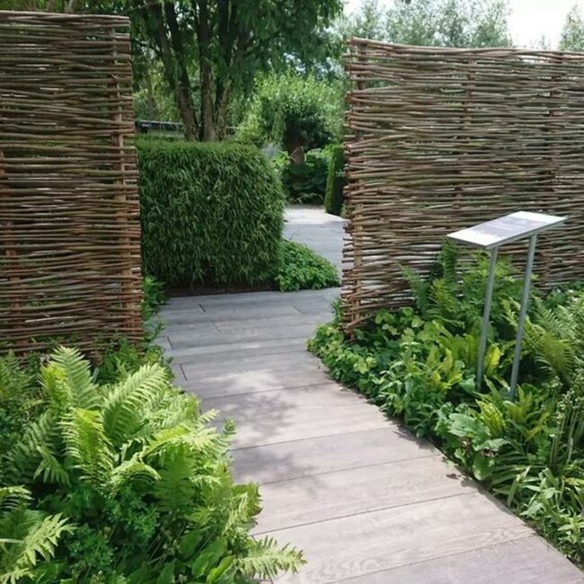 Green Pathway Woven Branches