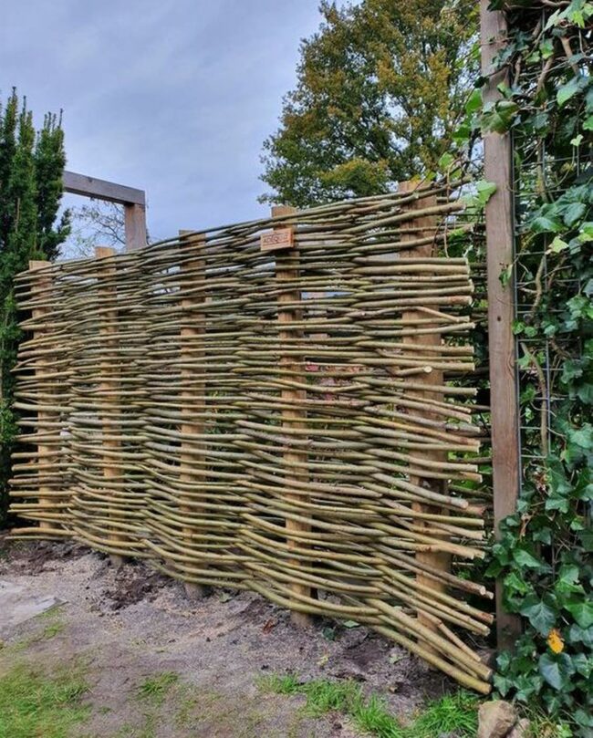 Woven Branch Fence Wilderness