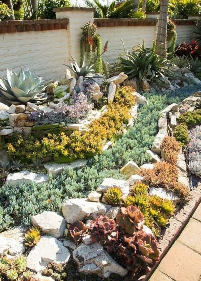 Desert Succulent Tapestry