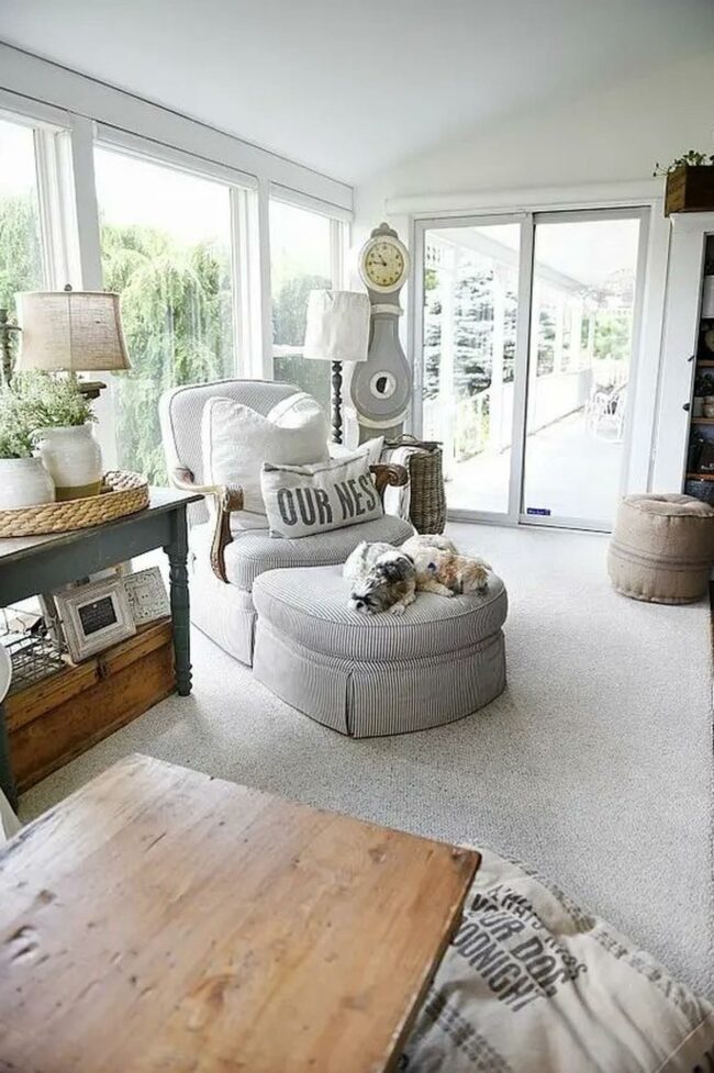 Sunlit Sanctuary with Nestled Dogs