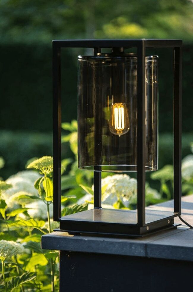 Black Lantern Luminous Garden