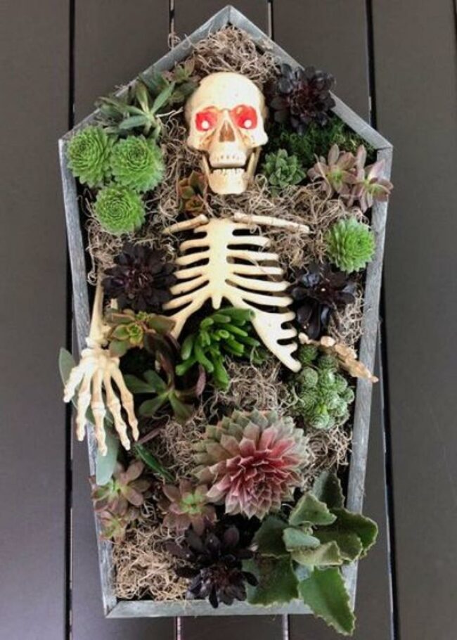 Skeletal Succulent Coffin