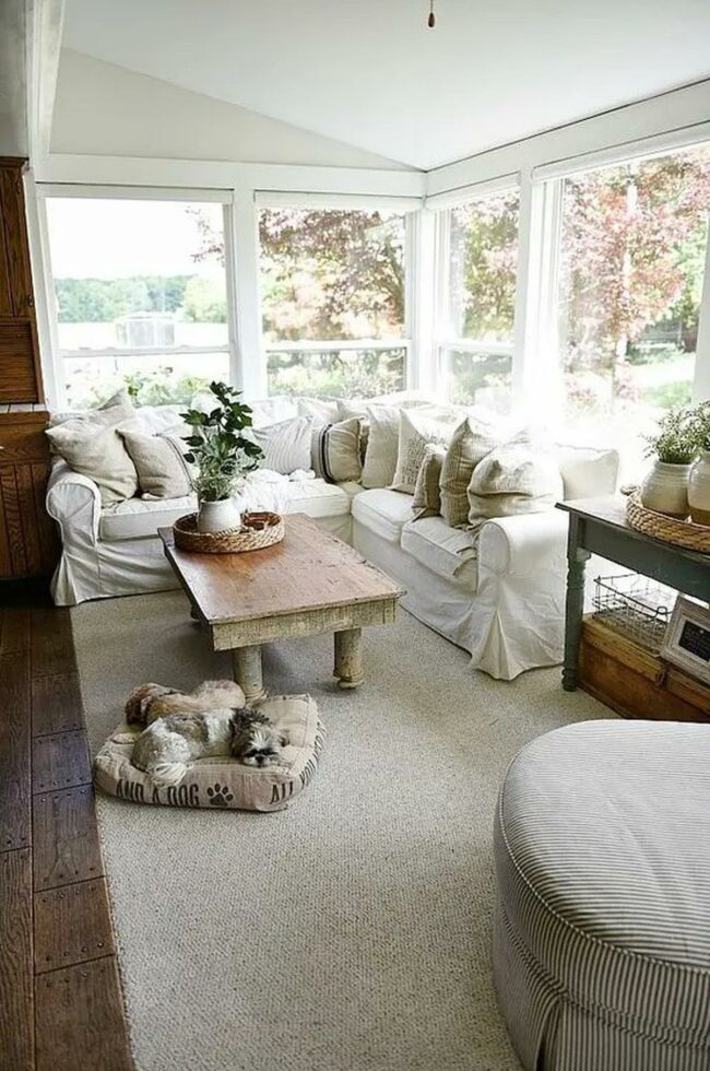 Soft White Sunlight Sanctuary