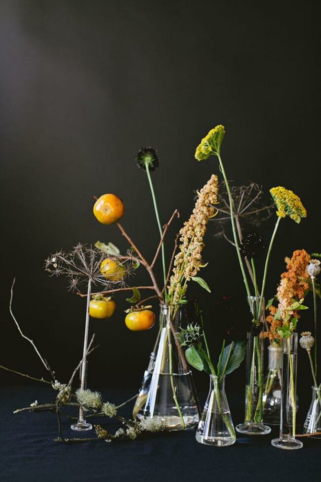 Dark Botanical Treasure