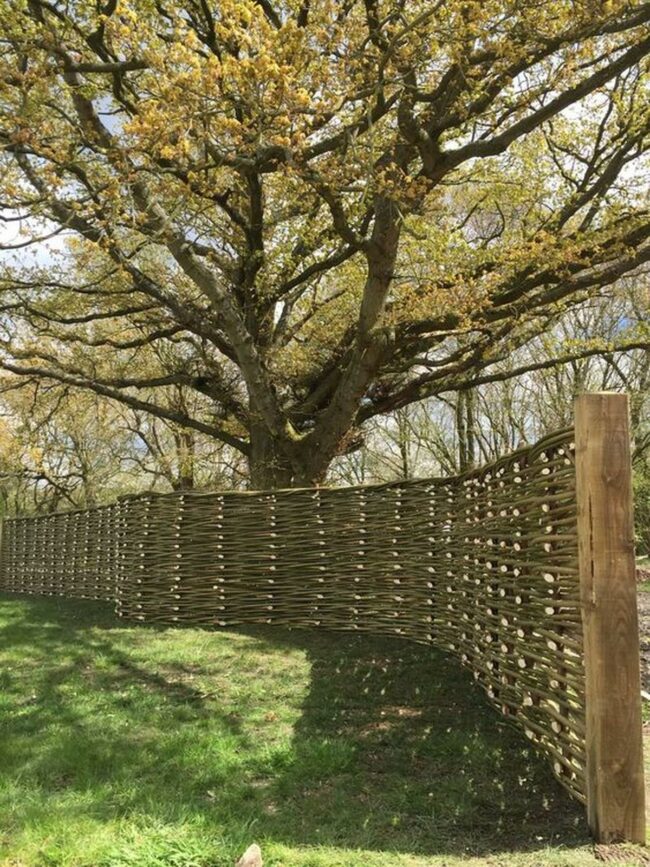 Woven Fence Green Landscape