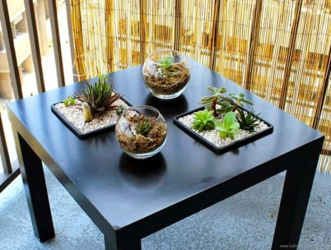 Succulent Sanctuary Black Table