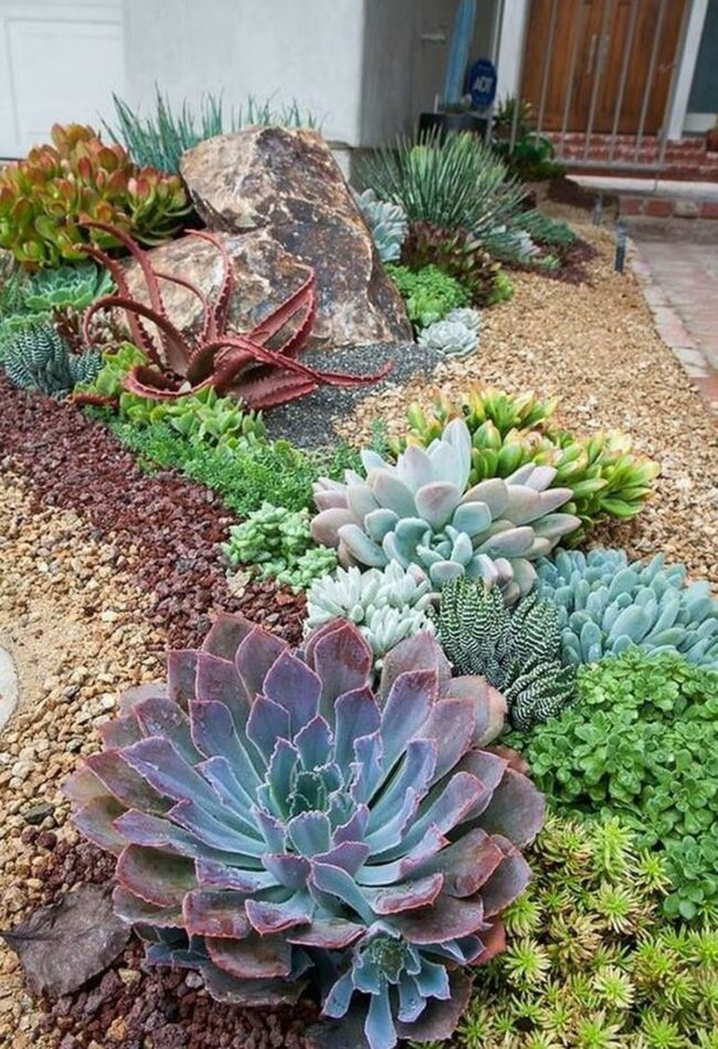 Desert Garden with Stone Path