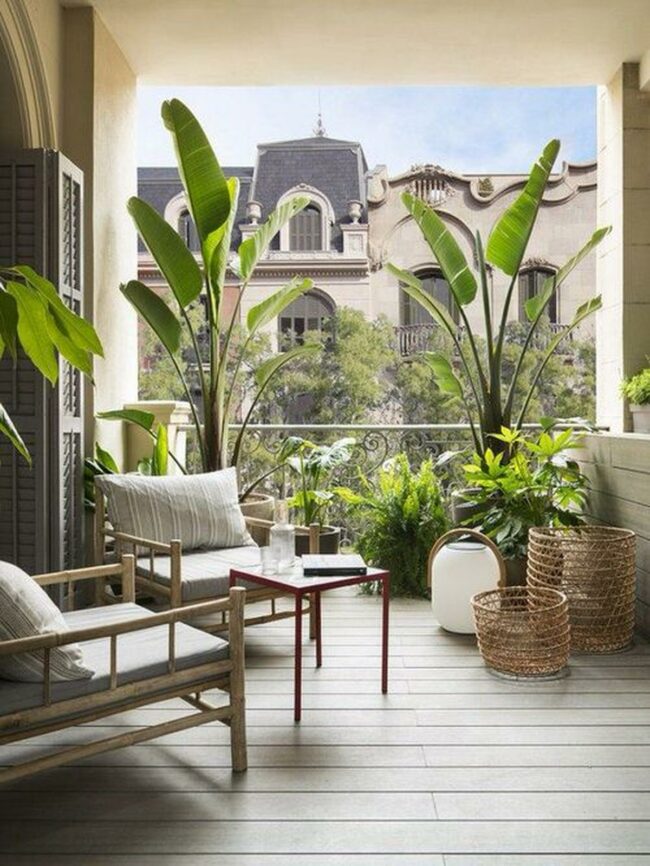 Green Oasis Urban Retreat