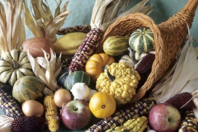 Colorful Pumpkin Cornuc