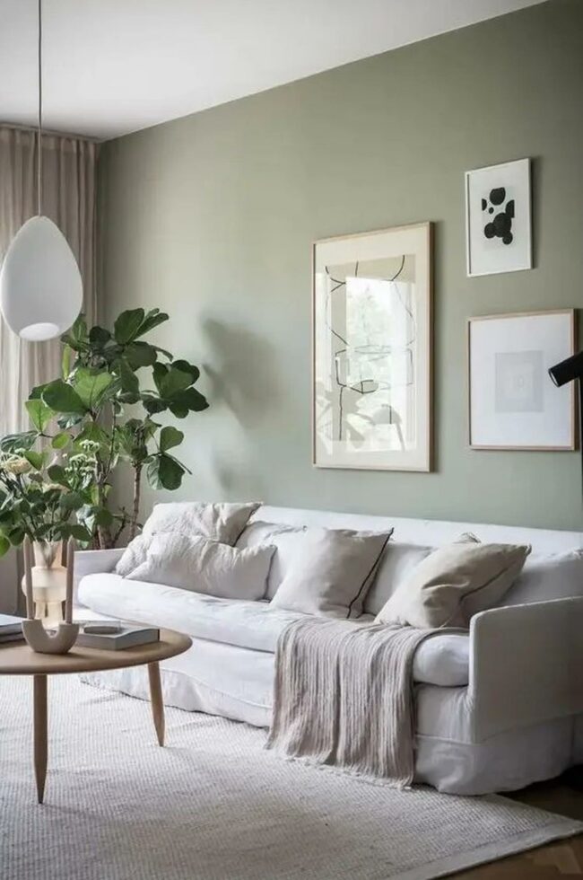 Soft Green Tranquil Living
