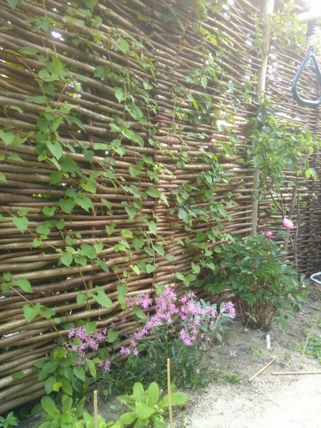 Bamboo Wall Blossoming Pink