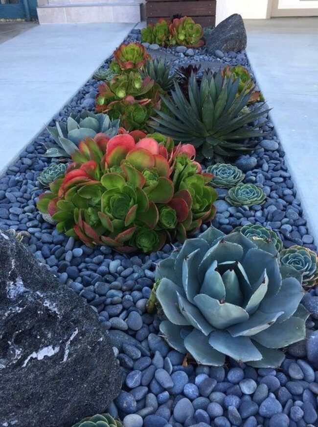 Colorful Succulent Rockscape