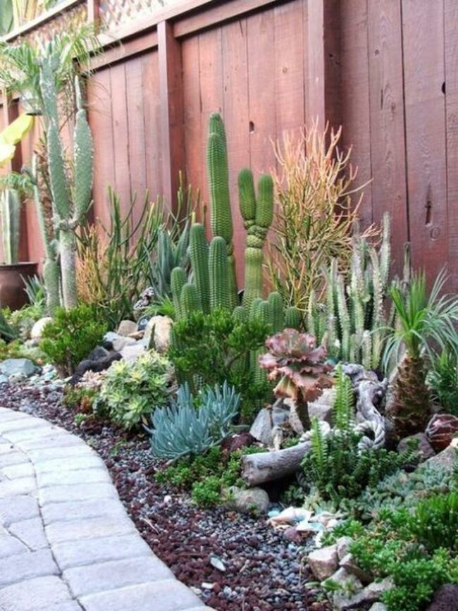 Sculptural Green Cactus Garden